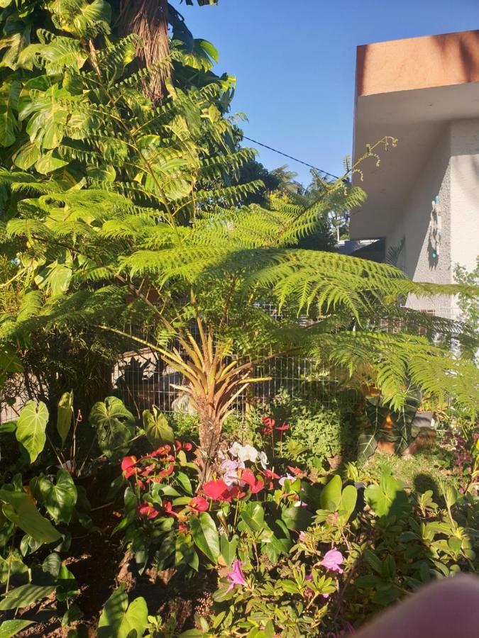 Apartamento Couleurs Des Iles Le Tampon Exterior foto