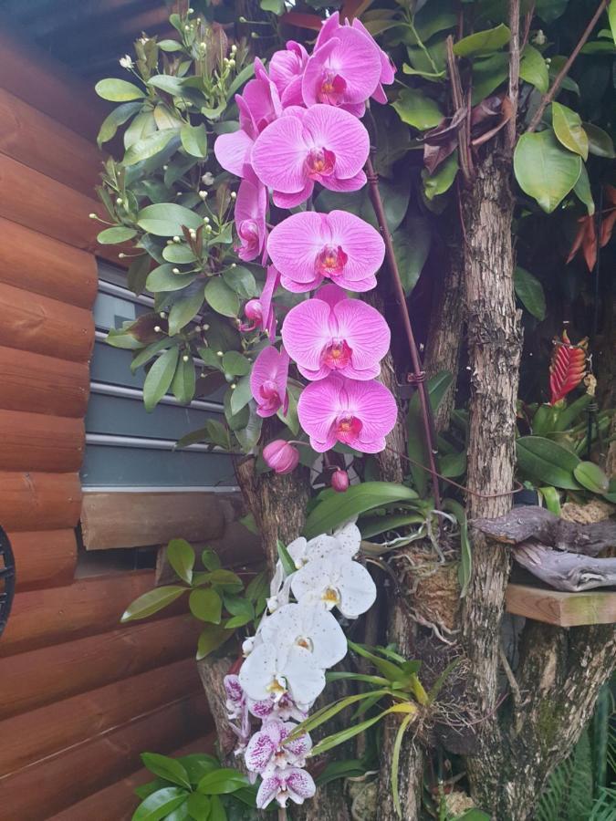 Apartamento Couleurs Des Iles Le Tampon Exterior foto